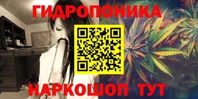 тгк Новозыбков