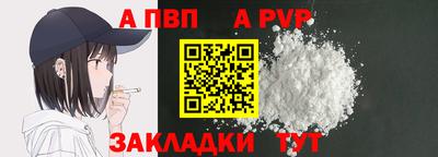 тгк Новозыбков