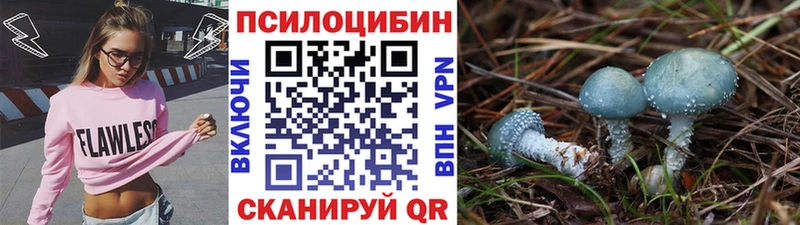 Псилоцибиновые грибы прущие грибы  Чита 