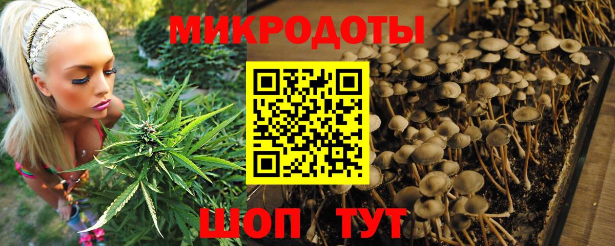 Псилоцибиновые грибы GOLDEN TEACHER  Вход с VPN  Чита  Галлюциногенные грибы мухоморы 